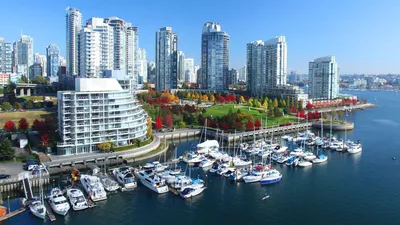 Лучший город Земли». Ванкувер — новый дом The International