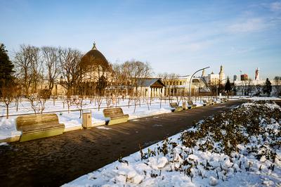 Как зимой работает колесо обозрения «Солнце Москвы» на ВДНХ - 2 декабря  2022 - МСК1.ру