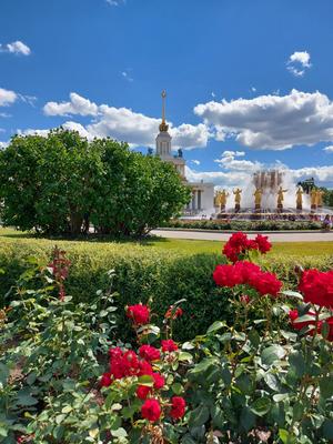 Москва | Фотографии | №38.2752 (Символы ВДНХ)