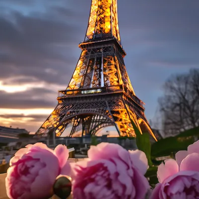 Очарование Парижа 😍 Многие называют этот город самым романтичным городом  нашей планеты. Согласна? | Ночной париж, Фотография парижа, Картинки парижа