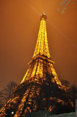 Вечерний Париж перед Рождеством» — фотоальбом пользователя lorina на  Туристер.Ру