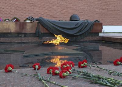 В Москве проверят состояние Вечного огня у Кремлевской стены | ИА Красная  Весна