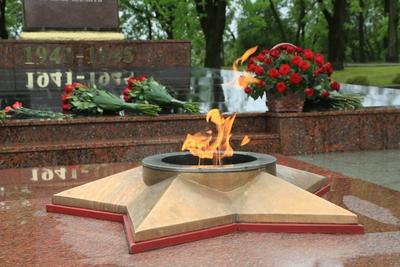 Вечный огонь с Могилы Неизвестного Солдата доставят в Белград :: Новости ::  ТВ Центр