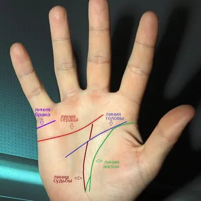 Определение \"венца безбрачия\" по ладони | Хиромантия, Болезнь, Нумерология