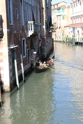 Отдых в Венеции. Все что нужно знать о Венеции:погода, карта,  достопримечательности, отели