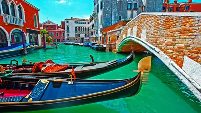 Grand Canal Live HD Stream Cam, Venice, Italy