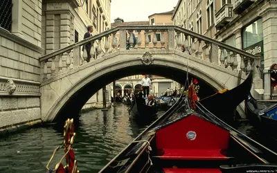Обои маленькая Венеция, Венеция, Страсбург, канал, водный путь - картинка  на рабочий стол и фото бесплатно