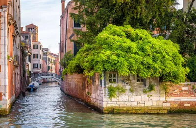Панорамы Венеции: город со всех сторон! - туры и гиды от City Trips