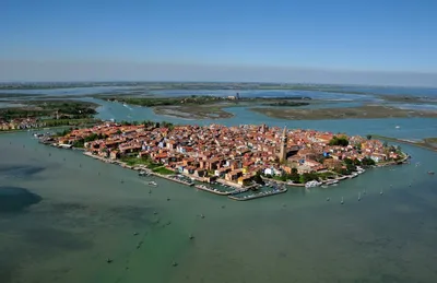 Гигантские руки поднялись из канала в Венеции - Turist