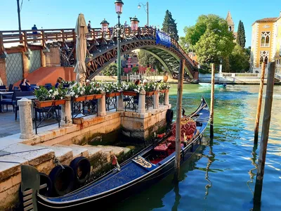 Венеция вводит плату за посещение – какие будут условия для туристов | РБК  Украина