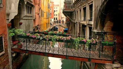 Обои Города Венеция (Италия), обои для рабочего стола, фотографии города,  венеция, италия, цветы, дома, мостики, вода Обои для рабочего стола,  скачать обои картинки заставки на рабочий стол.