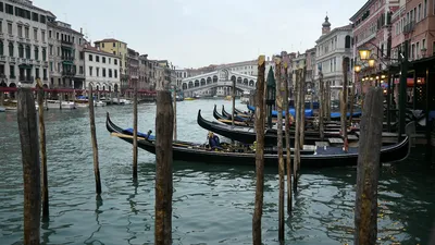 Фотообои Венеция - город на воде», (арт. 0259) - купить в интернет-магазине  Chameleon