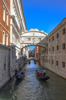 Почему в Венеции все гондолы черные