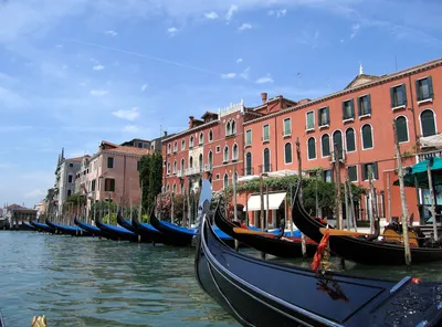 Венеция: гондолы вернулись | Euronews