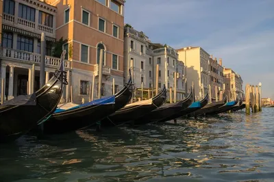 Венеция Гондолы, традиционные венецианские гребные лодки Стоковое Фото -  изображение насчитывающей наследие, турист: 164141880
