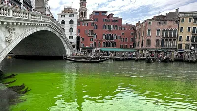 Зеленый Гранд-канал: Венеция стала \"сценой для действий\"