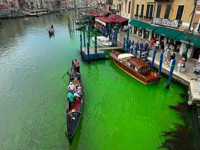 Экоактивисты покрасили Гранд-канал Венеции в зеленый цвет, чтобы привлечь  внимание к изменениям климата