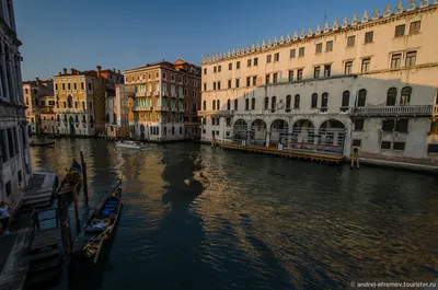 Гранд Канал Венеция Италия - Бесплатное фото на Pixabay - Pixabay