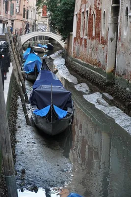 В Венеции обмелели каналы (фото) – Главное в Украине