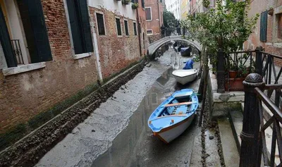 Венеция: обычно наводнения, но теперь пересохшие каналы. Фотографии - BBC  News Русская служба