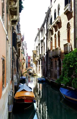 Гондолы на мели: в Венеции пересохли каналы - «Экология России»