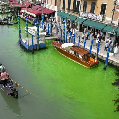 Каналы Венеции, как уникальный градостроительный феномен | Съездить по  Глобусу | Дзен