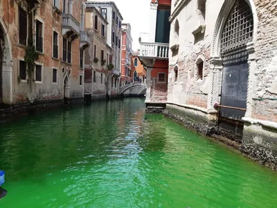 Вода Гранд-канала в Венеции внезапно стала зеленой - 28.05.2023, Sputnik  Беларусь