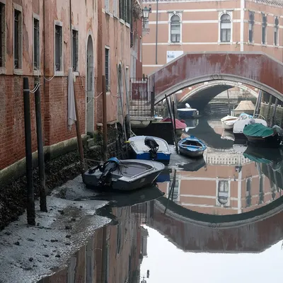 В Венеции позеленели водные каналы