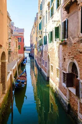 Гранд-канал (Большой канал), Венеция: лучшие советы перед посещением -  Tripadvisor