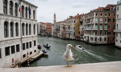 Венеция Италия Прекрасный Вид На Венецианский Канал Со Старыми Красочными  Зданиями И Мостом Через Канал В Венеции — стоковые фотографии и другие  картинки Венеция - Италия - iStock