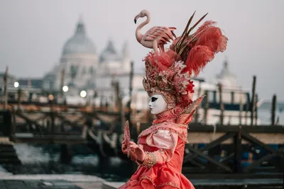 Венецианский карнавал. Костюм - произведение искусства. | Пикабу