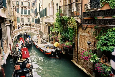 Нетуристическая Венеция в центре города 🧭 цена экскурсии €153, 18 отзывов,  расписание экскурсий в Венеции