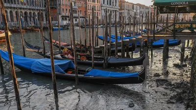 Венеция и транспорт - ItalieOnline