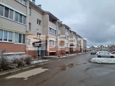 ЖК Венеция в Костроме от ГК КФК №1 - цены, планировки квартир, отзывы  дольщиков жилого комплекса