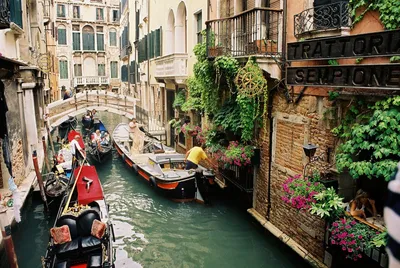 Интересные места Венеции. Что посмотреть в районе Каннареджо