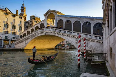 Rialto Bridge (Ponte di Rialto), Венеция: описание и фото, отзывы, точный  адрес | Planet of Hotels