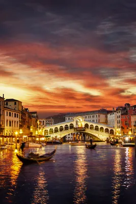 Rialto Bridge - 15 Facts About the Most Iconic Sight in Venice - Rossi  Writes