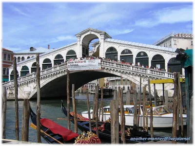 A Guide to the Most Famous Bridges in Venice, Italy