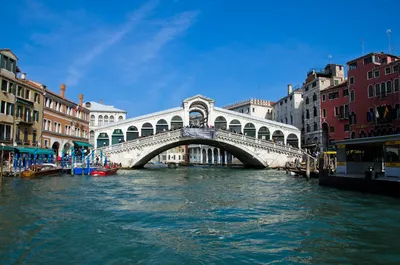 Венеция мост риальто фото фотографии