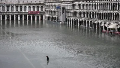 Самое сильное наводнение в Венеции за 50 лет. Мэр города винит изменение  климата - BBC News Русская служба