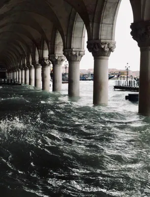 Три четверти Венеции затоплено из-за наводнения | Пикабу