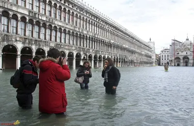 Наводнение в Венеции | РИА Новости Медиабанк