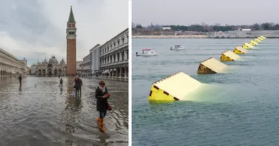 Наводнение в Венеции | РИА Новости Медиабанк