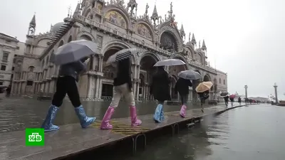 Наводнение в Венеции - пострадал храм, бары и рестораны | РБК-Україна