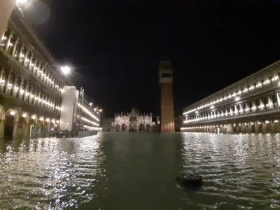Наводнение в Венеции нанесло миллионный ущерб собору Святого Марка - РИА  Новости, 27.12.2019