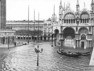 Новости мира - Венеция уходит под воду: первые кадры смертоносного  наводнения — Мир