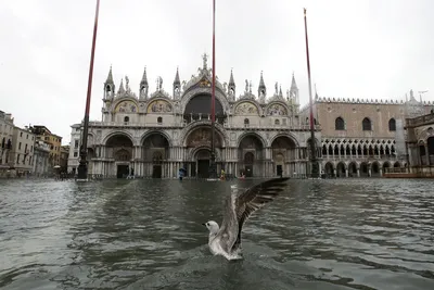 В Венеции произошло самое сильно наводнение за последние 50 лет | Югополис