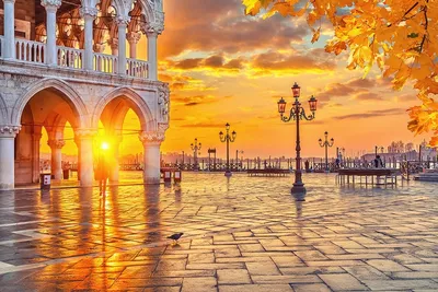Фотообои Венеция осенью купить на стену • Эко Обои