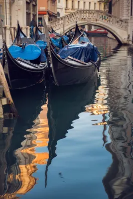 Отдых в Италии – город Тревизо заменит дорогую и переполненную Венецию –  Закордон