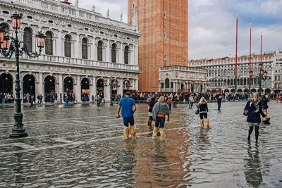 Фотообои Площадь Святого Марка, Венеция на стену. Купить фотообои Площадь  Святого Марка, Венеция в интернет-магазине WallArt